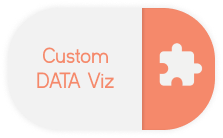 Module custom data viz